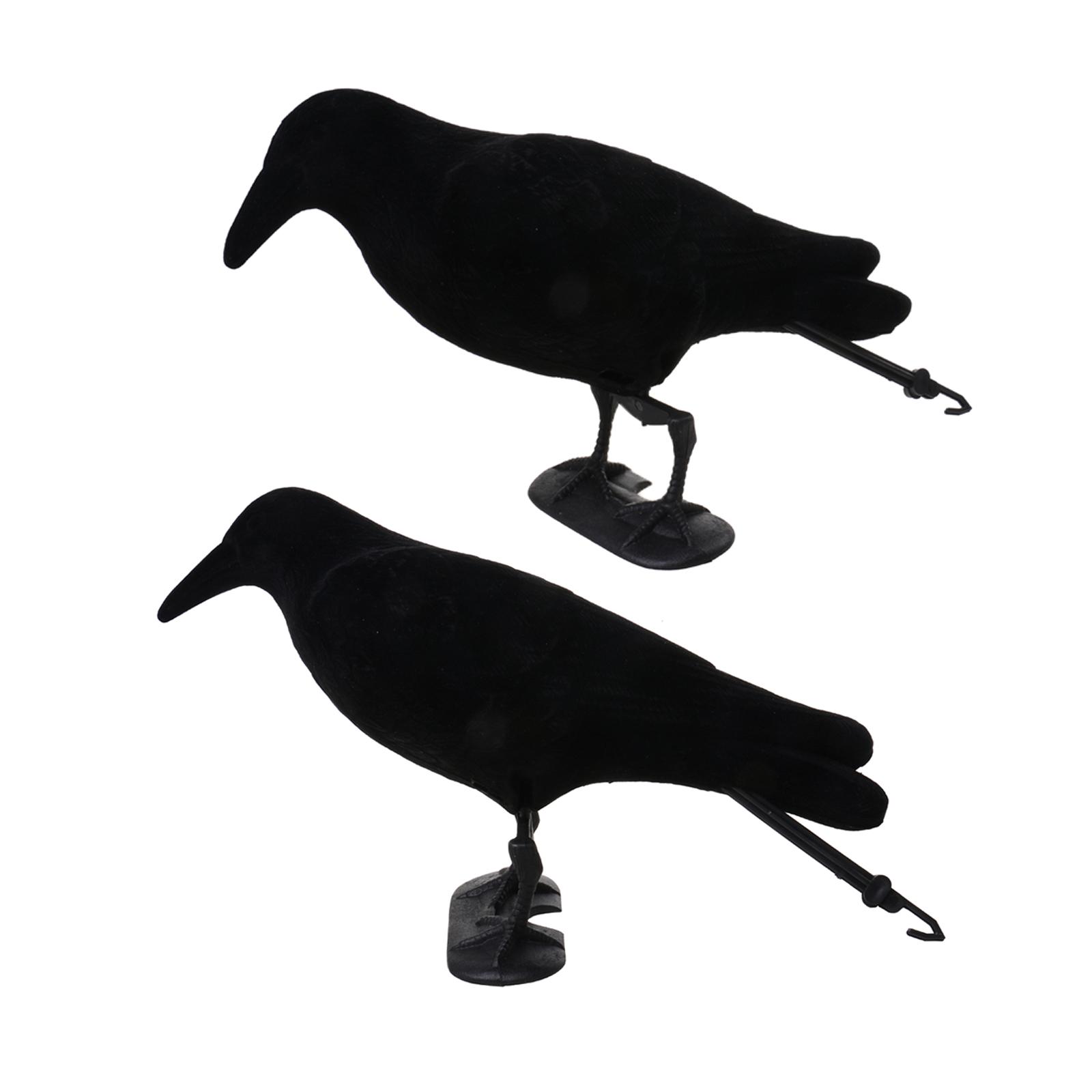 Crow Decoy Animal Trap Body Fl - Hunting And Outdoor Supplies review and price