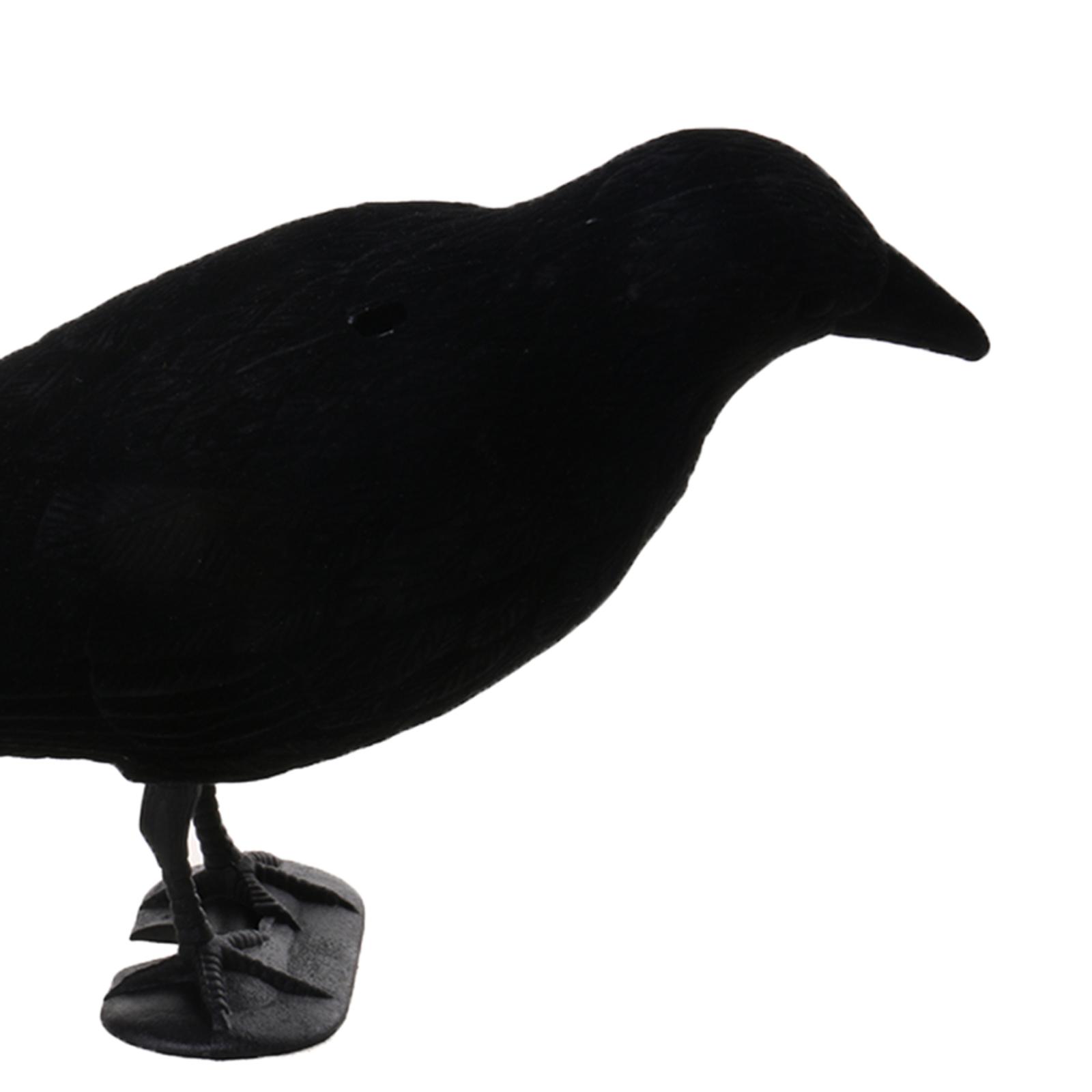 Crow Decoy Animal Trap Body Fl - Hunting And Outdoor Supplies review and price