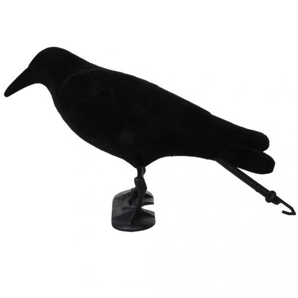 Crow Decoy Animal Trap Body Fl - Hunting And Outdoor Supplies review and price