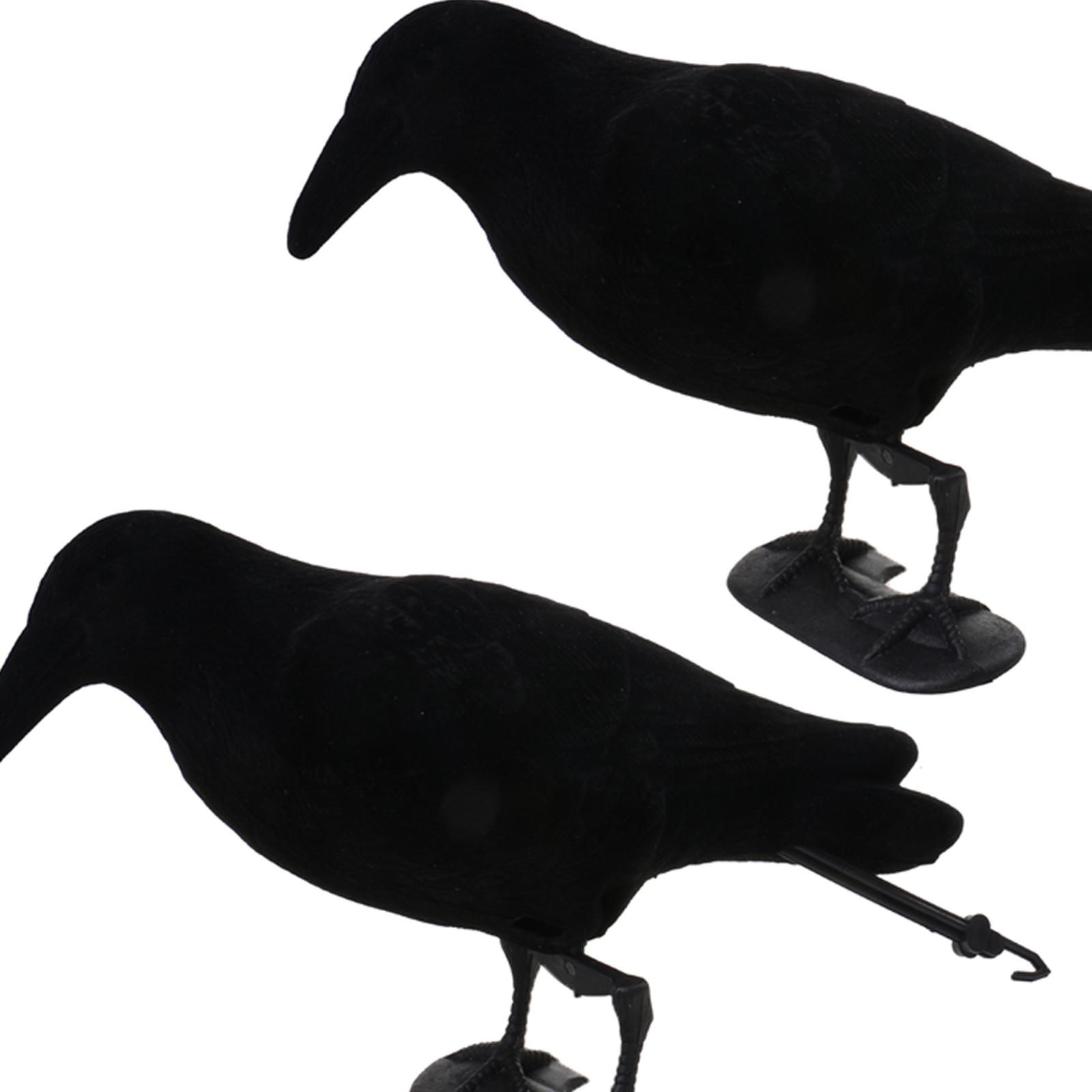 Crow Decoy Animal Trap Body Fl - Hunting And Outdoor Supplies review and price