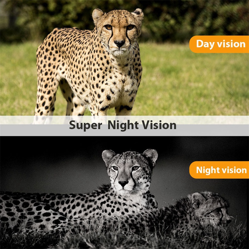 -801A 4K UHD 36MP 4G LTE Night - Outdoor Hunting Camera Wireless review and price