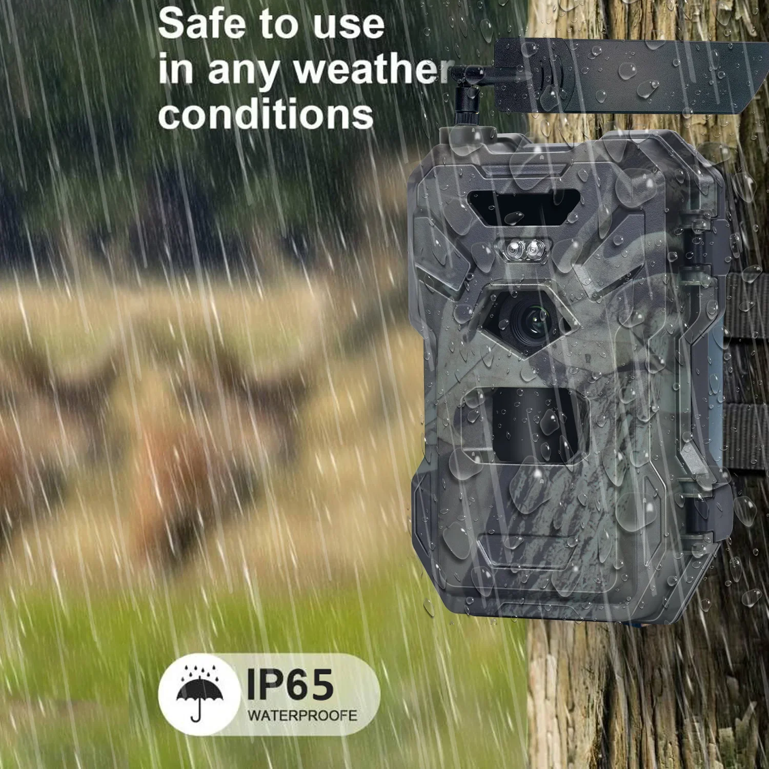 HC-880Pro 4G 30MP HD 2K Night  - Outdoor Hunting Camera Wireless review and price