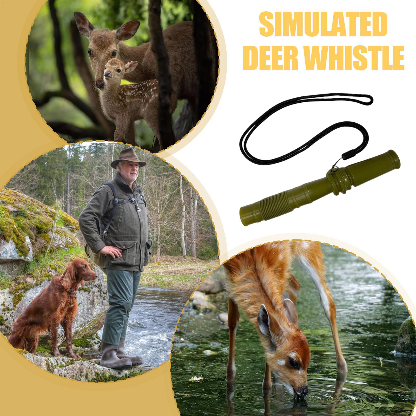 Rattling Antlers For Deer Hunt - Hunting And Outdoor Supplies review and price