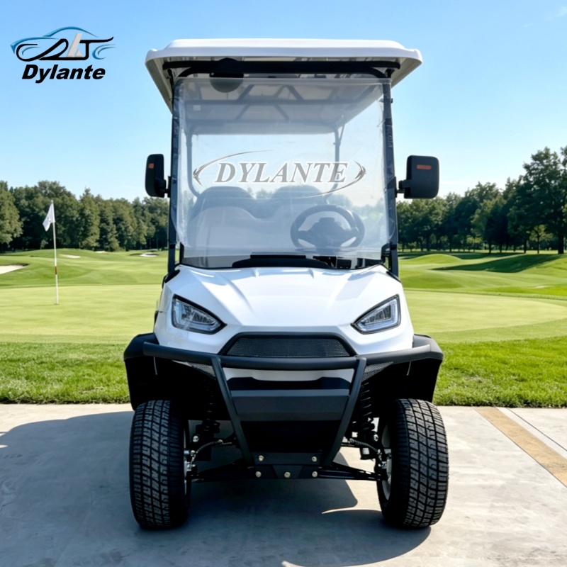 China New Energy 60V Lithium P - Outdoor Hunting Vehicle review and price