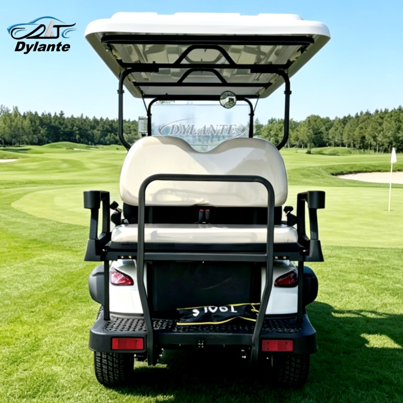 China New Energy 60V Lithium P - Outdoor Hunting Vehicle review and price